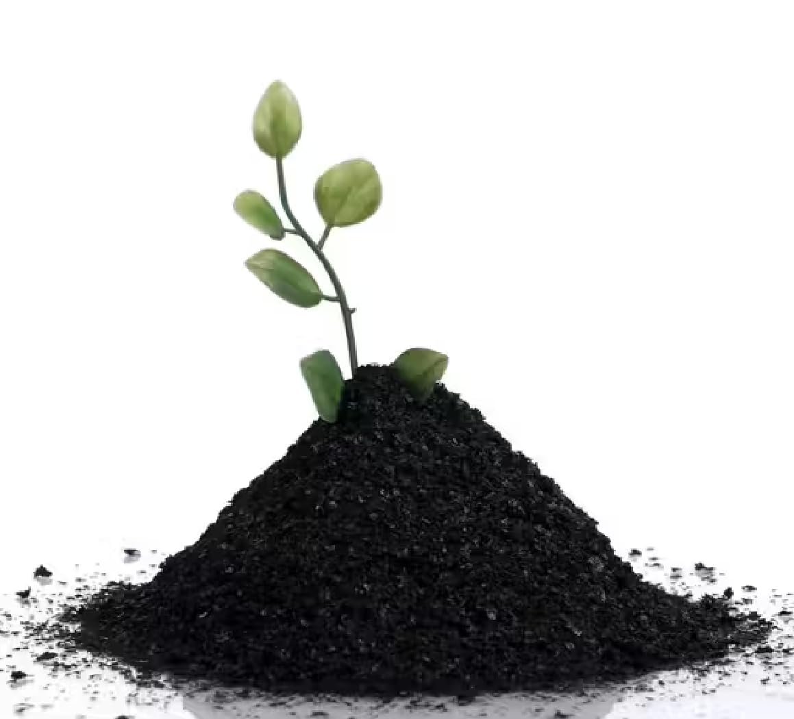 Organica Agro farm Humic Powder (Potassium Humate 98%) for Plants – Soil Conditioner for Garden & Agriculture (250gm) - Image 3