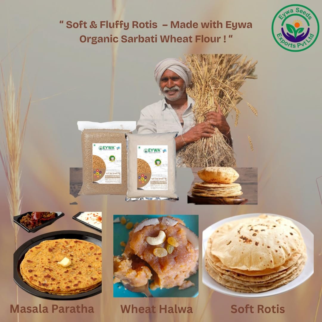 Eywa Seeds & Exports Pvt Ltd Organic Sarbati Wheat Grains (5 Kgs) For Eating And Cookings|Premium Grains/Gehu By Eywa - Image 3