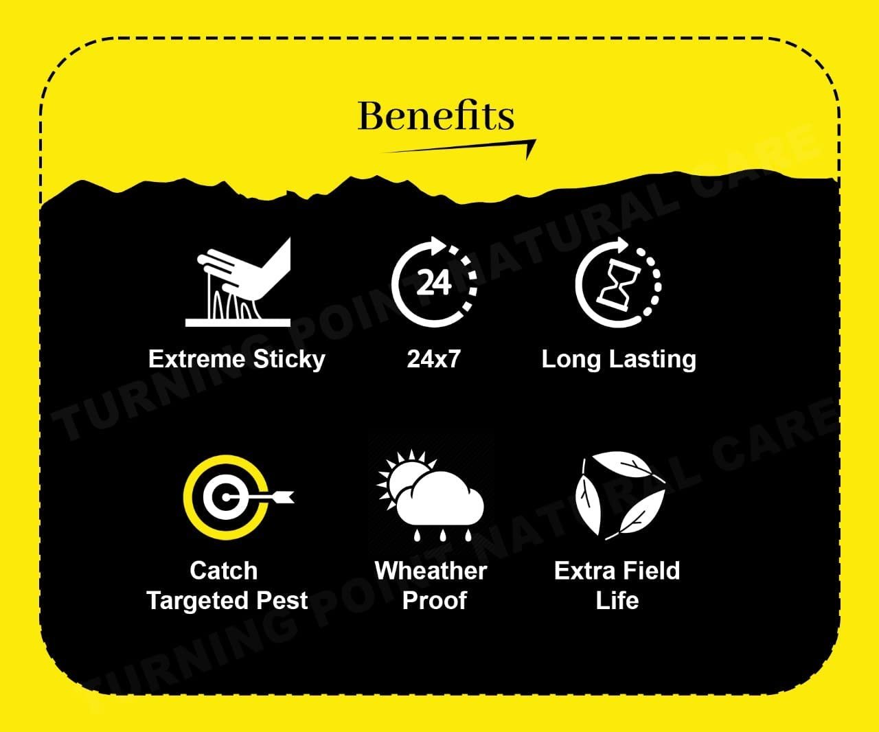 Chipku A5 Yellow Sticky Trap for Insects Pack of 250 Sheets| for Garden & Agriculture to Control Whiteflies, Aphids, Thrips, Jassids| Fly Catcher Insect Catcher Glue Trap for 100% Results - Image 7