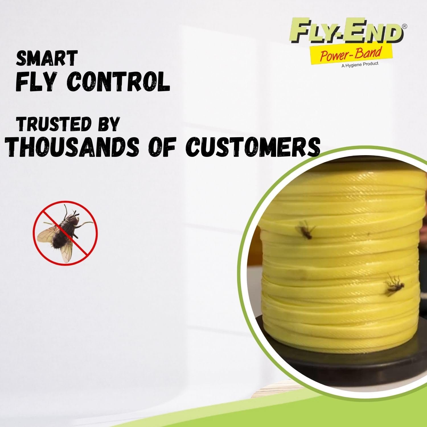 SAIFE VETMED Eco-Friendly Fly Trap for Home | Non-Toxic Sticky Insect Catcher | Odourless & Safe for Kids & Pets | Indoor & Outdoor Use | 50M, Pack of 1 - Image 3