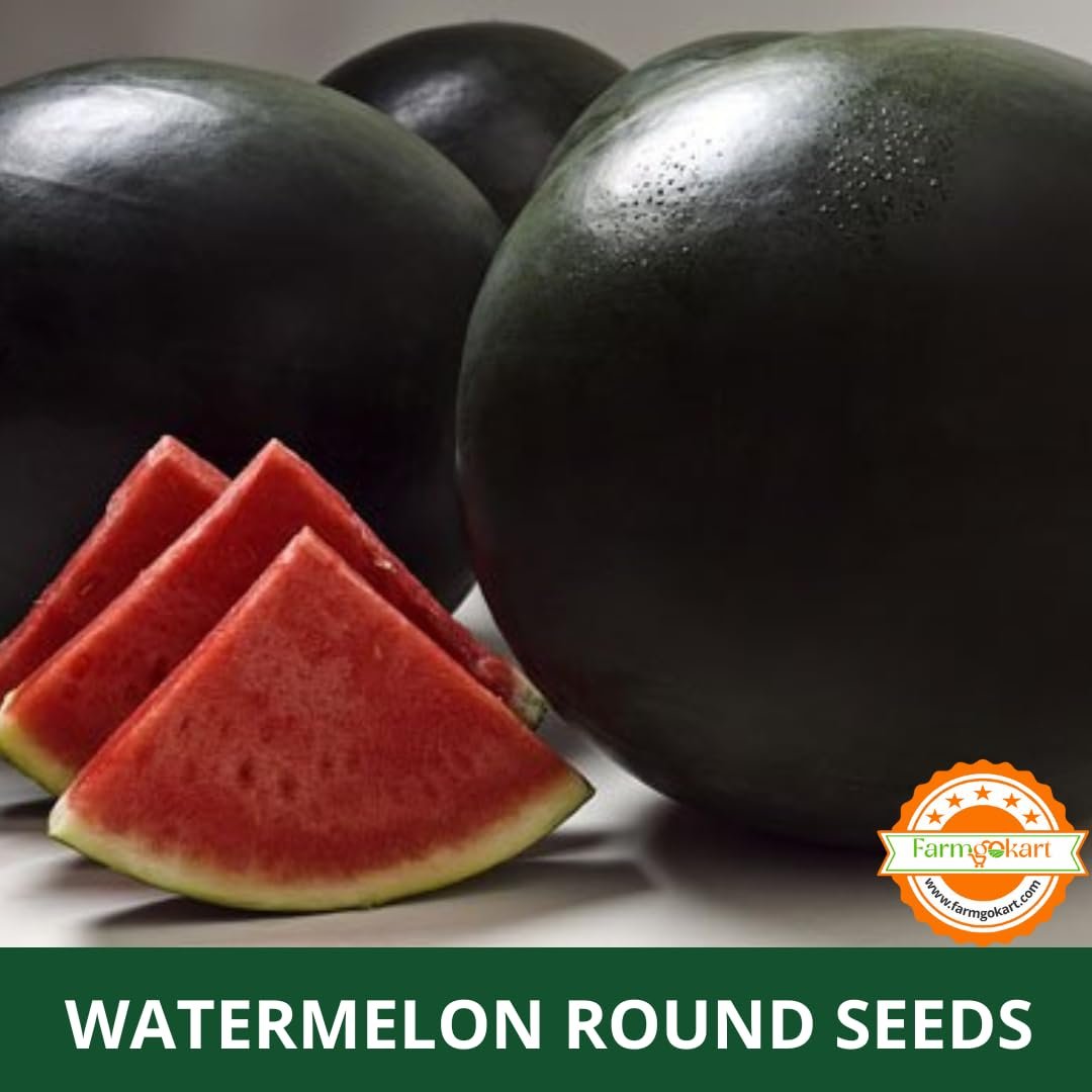 Farmgokart | 10 Grams - WATER MELON (ROUND SHAPED) F1 - HYBRID SEEDS | Perfect for Home Gardening, Open Farming and Poly House Farming (Appx Seed Count 180-200 Seeds) - Image 4
