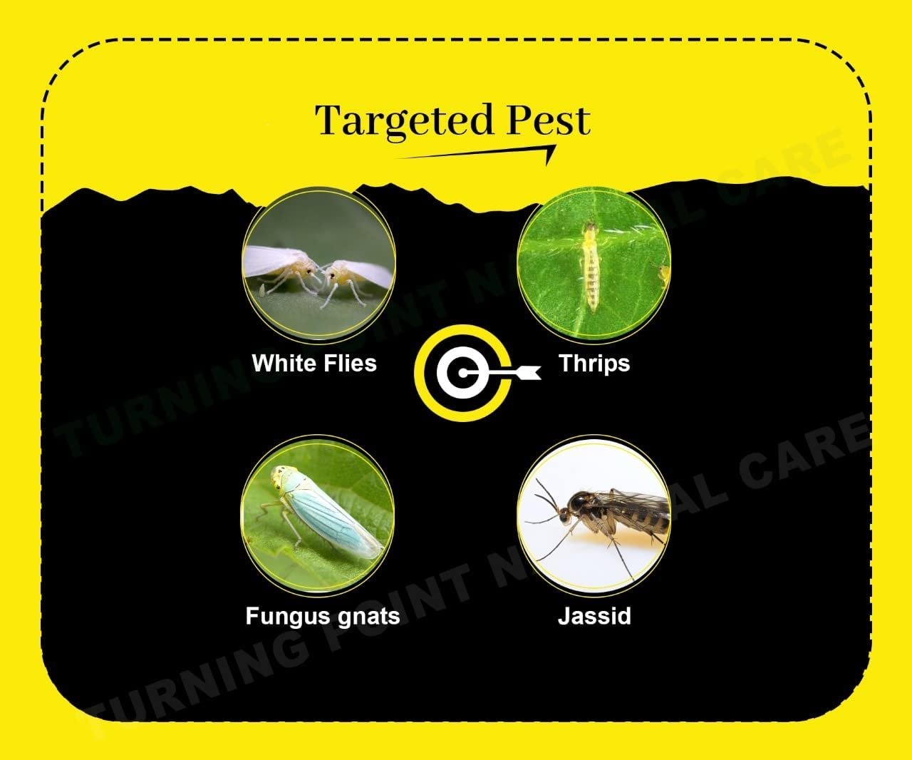Chipku A5 Yellow Sticky Trap for Insects Pack of 250 Sheets| for Garden & Agriculture to Control Whiteflies, Aphids, Thrips, Jassids| Fly Catcher Insect Catcher Glue Trap for 100% Results - Image 6