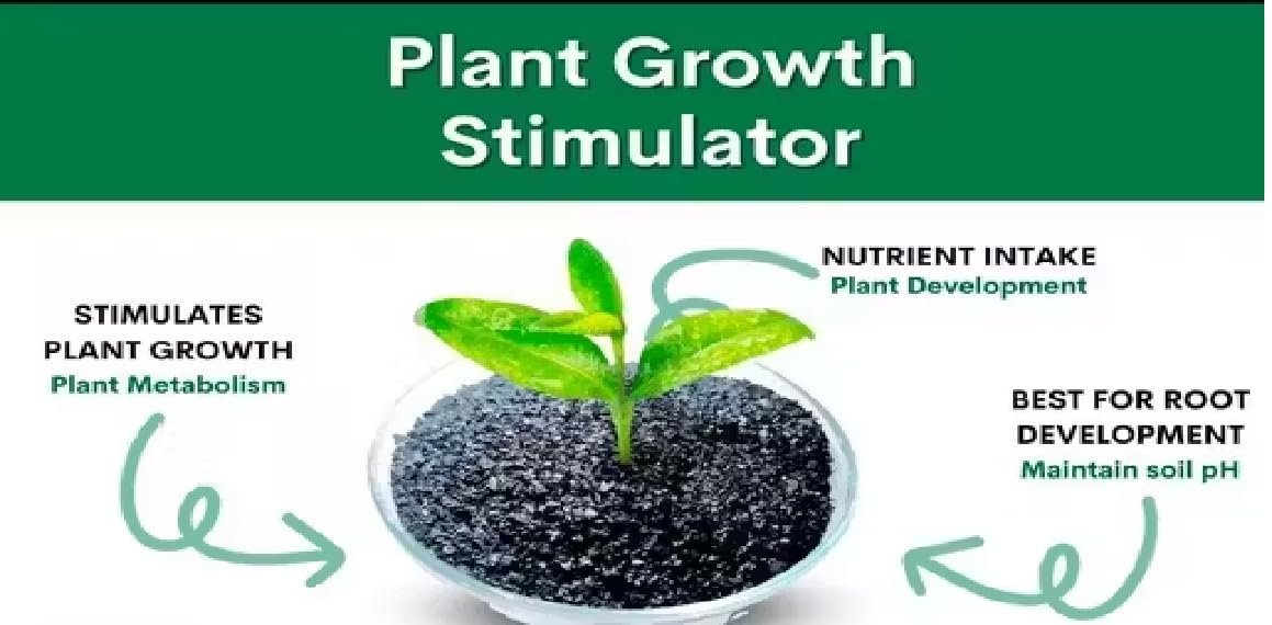 Organica Agro farm Humic Powder (Potassium Humate 98%) for Plants – Soil Conditioner for Garden & Agriculture (250gm) - Image 2