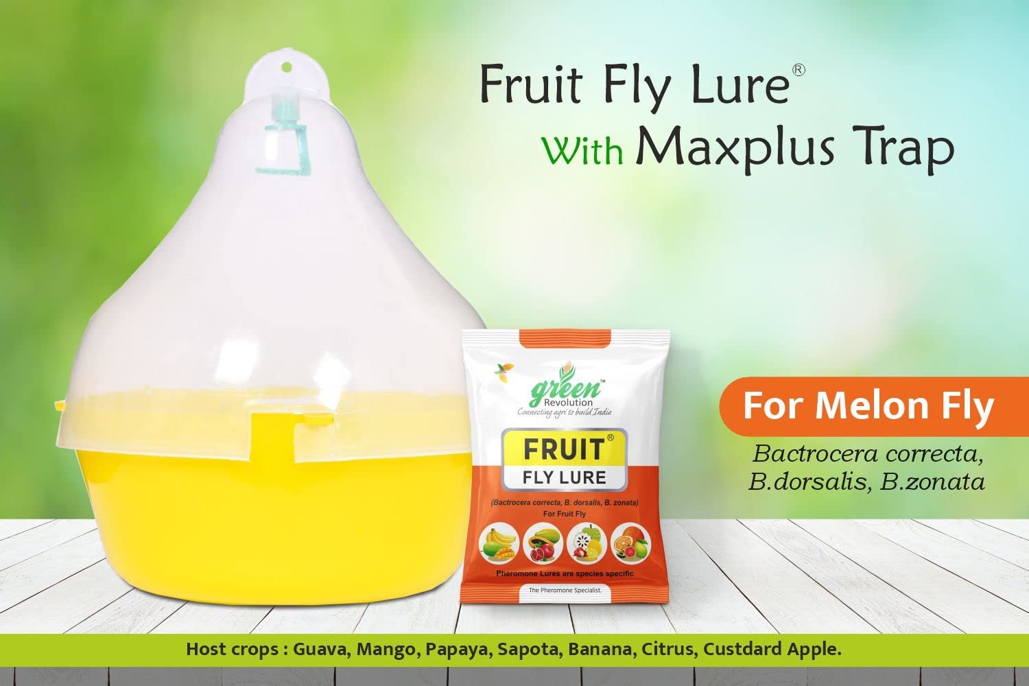 Green Revolution Fruit Fly Pheromone Trap (Bactrocera Correcta, Zonata, Dorsalis)/Fruit Fly Trap. - Image 2
