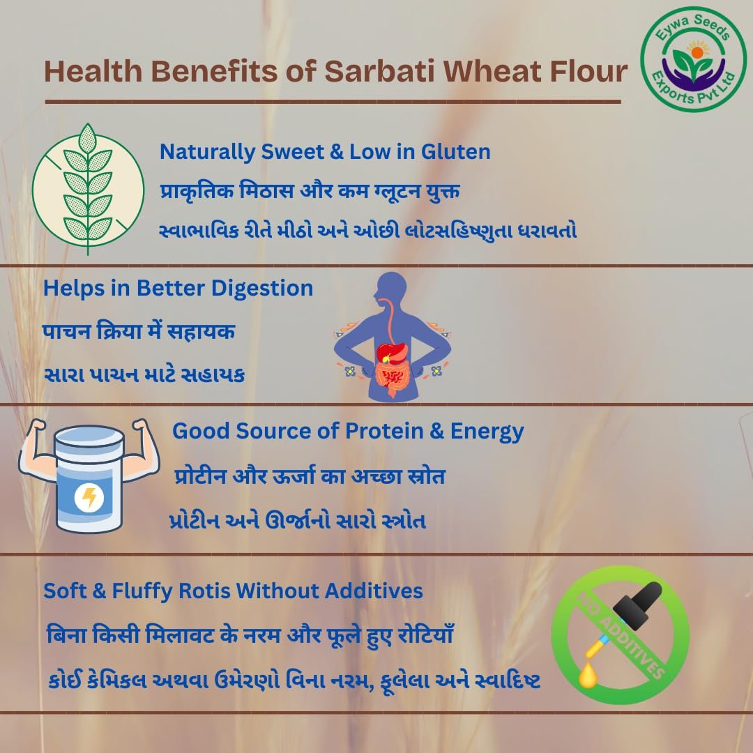 Eywa Seeds & Exports Pvt Ltd Organic Sarbati Wheat Grains (5 Kgs) For Eating And Cookings|Premium Grains/Gehu By Eywa - Image 4
