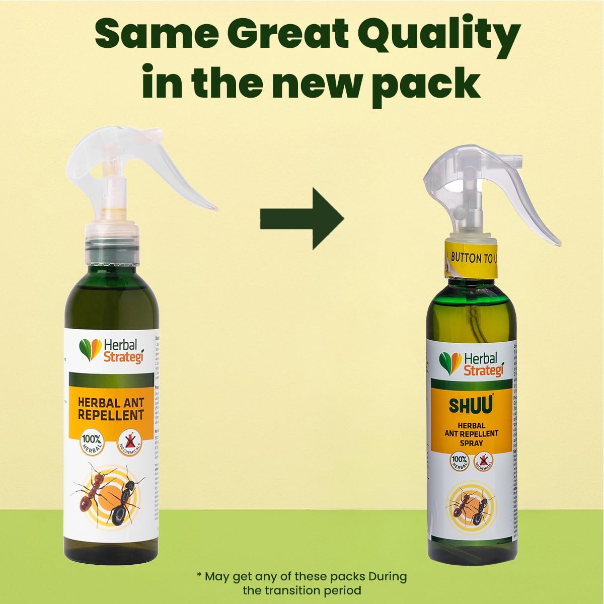 STRATEGI Herbal Ant Repellent Spray 200 Ml | 100% Herbal, Eco-Friendly, And Biodegradable | Safe For Babies, Pets, And Skin | Ayush Certified - Image 2