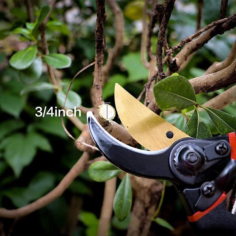 JD FRESH 8 Inch Heavy Duty Gardening Scissor/Plant Cutter for Garden/Pruners for Plants/Branch Cutter for Plants/Flower Cutter/Secateurs/Pruning Shears (Black) - Image 4