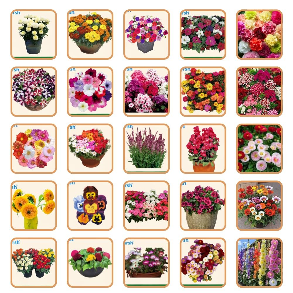 Utkarsh Hybrid Flower Seeds Combo – 50 Varieties | Beautiful Blooming Flowers | All Season Flower Seeds for Home Garden, Terrace & Balcony | Easy to Grow & Low Maintenance, Approx 2000 Seeds - Image 4
