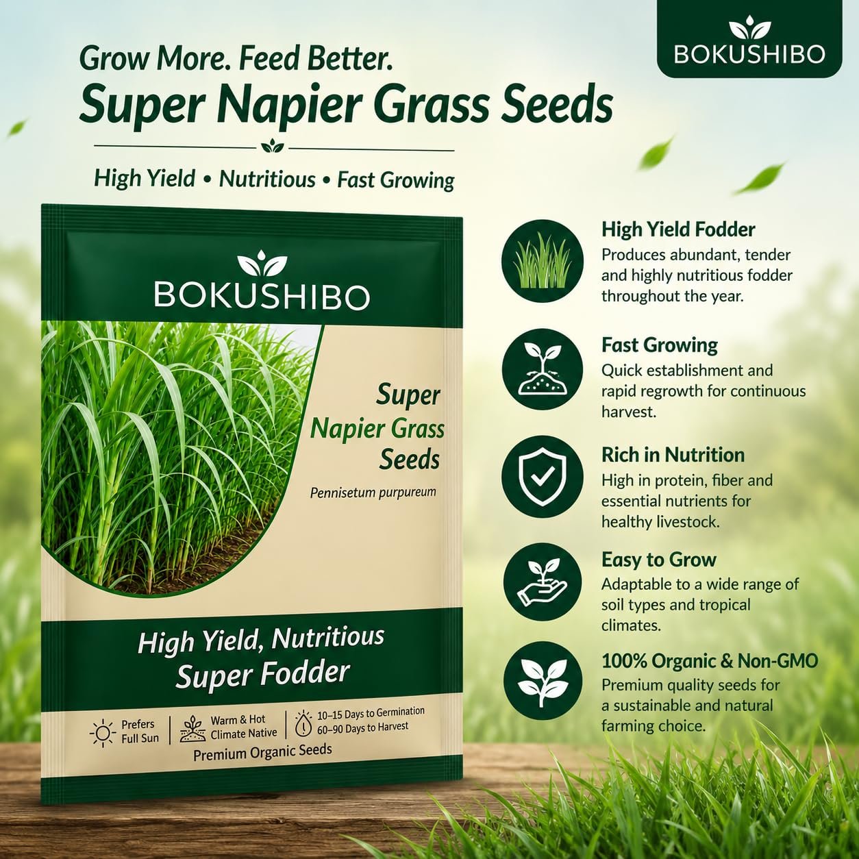 Super Napier Grass Seeds for Cattle | High Protein Hybrid Multi-Cut Green Fodder Seed for Cows, Goats & Sheep | Fast-Growing Hybrid Pakchong 1 Elephant Grass Seeds for Dairy Farms (1000 mg) - Image 2