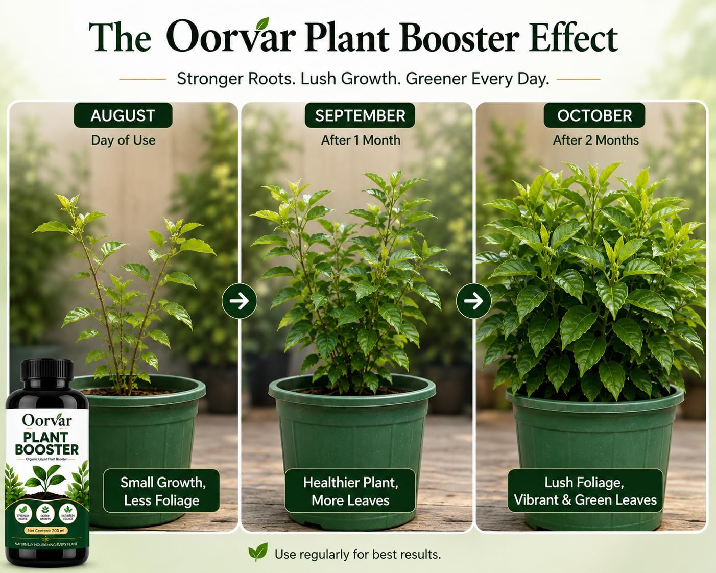 New Age Plant Boost Liquid Fertilizer for Speed Growth (100 ml) | Organic Plant Booster Liquid Fertilizer for Indoor Plants Home Garden & Outdoor Plants - Oorvar - Image 8