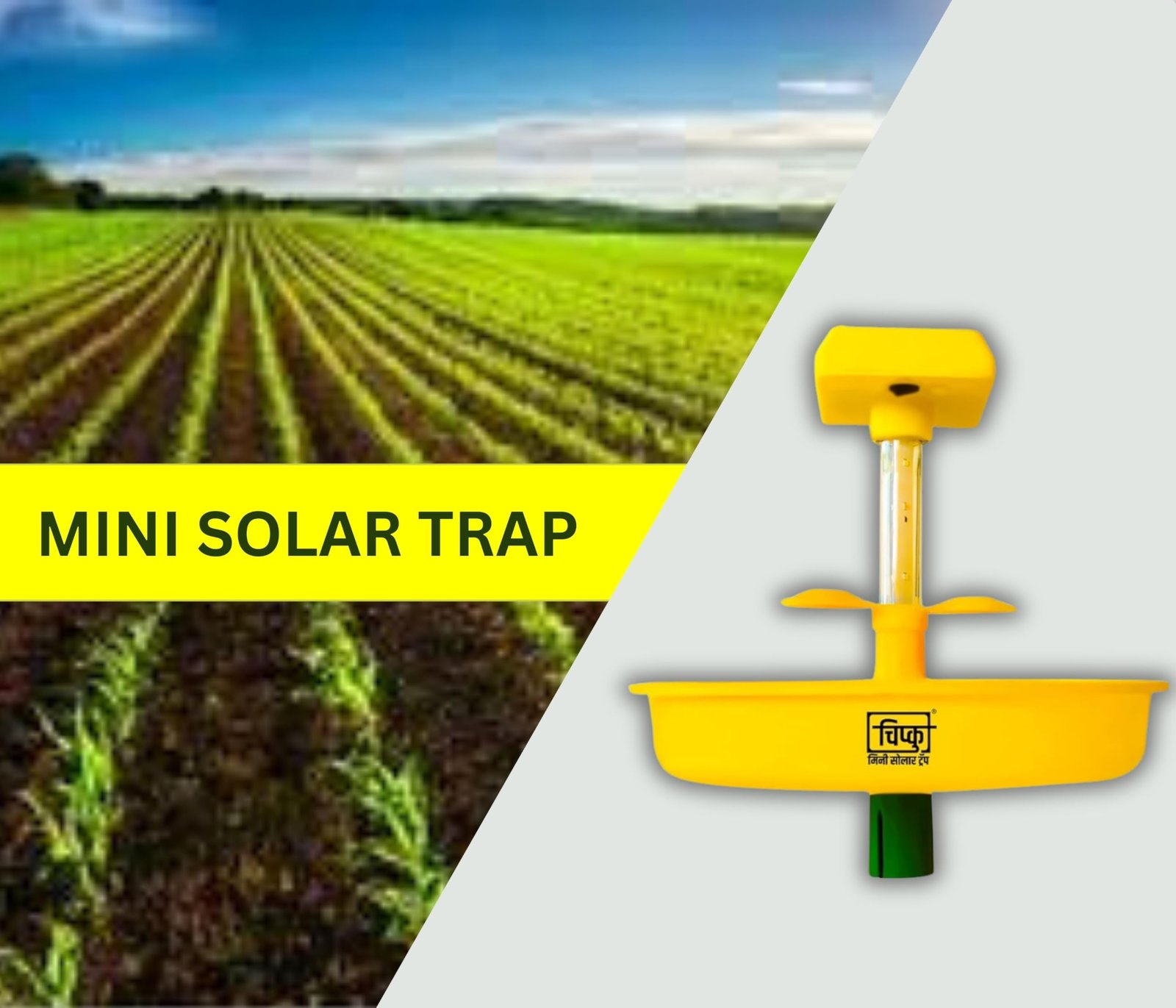 Chipku Mini Solar Insect Trap for Agriculture with UV Light| Solar Light Trap for Agriculture Insects Pests Captures 120 Types Insects| 6 Months Warranty| Dual Work - Image 2