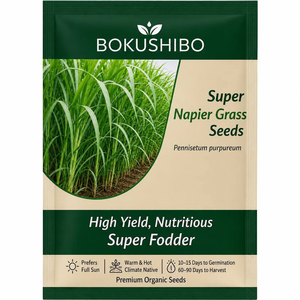 Super Napier Grass Seeds for Cattle | High Protein Hybrid Multi-Cut Green Fodder Seed for Cows, Goats & Sheep | Fast-Growing Hybrid Pakchong 1 Elephant Grass Seeds for Dairy Farms (1000 mg)