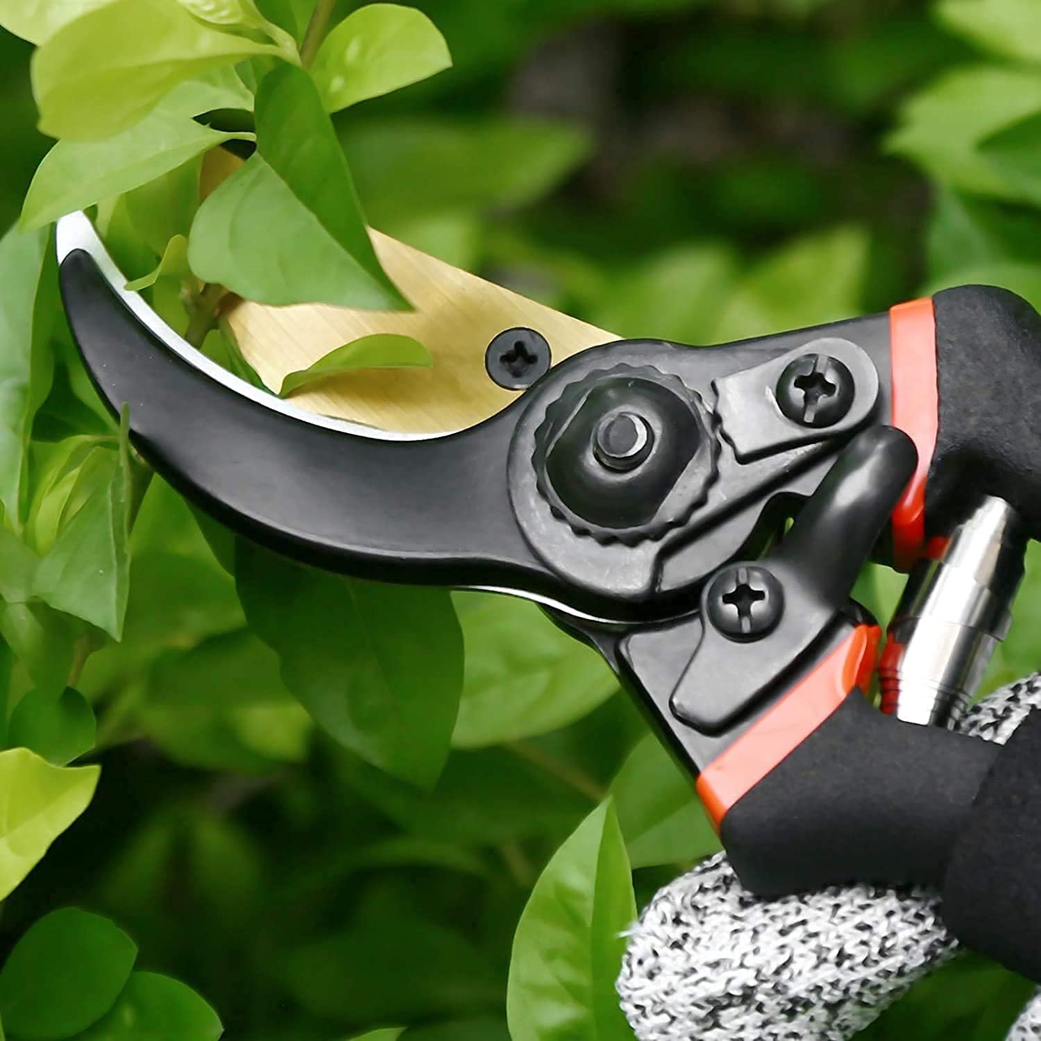 JD FRESH 8 Inch Heavy Duty Gardening Scissor/Plant Cutter for Garden/Pruners for Plants/Branch Cutter for Plants/Flower Cutter/Secateurs/Pruning Shears (Black) - Image 6