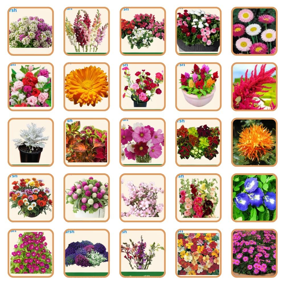 Utkarsh Hybrid Flower Seeds Combo – 50 Varieties | Beautiful Blooming Flowers | All Season Flower Seeds for Home Garden, Terrace & Balcony | Easy to Grow & Low Maintenance, Approx 2000 Seeds - Image 3