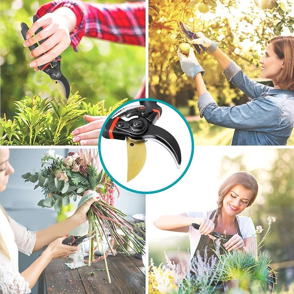 JD FRESH 8 Inch Heavy Duty Gardening Scissor/Plant Cutter for Garden/Pruners for Plants/Branch Cutter for Plants/Flower Cutter/Secateurs/Pruning Shears (Black) - Image 5