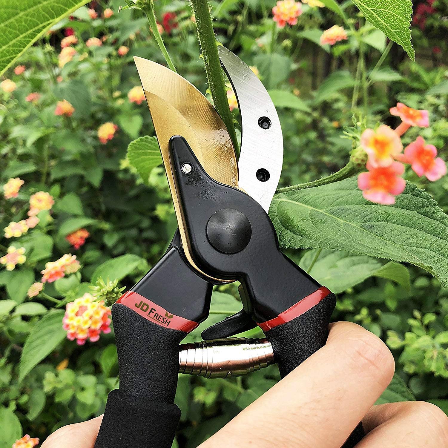 JD FRESH 8 Inch Heavy Duty Gardening Scissor/Plant Cutter for Garden/Pruners for Plants/Branch Cutter for Plants/Flower Cutter/Secateurs/Pruning Shears (Black) - Image 7
