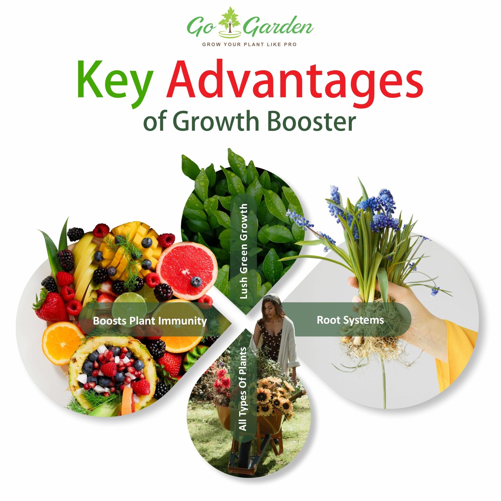 Go Garden Growth Boost Liquid Fertilizer: Enhance Plant Growth and Flowering | Home Garden Growth Booster for All Types of Plants | Liquid Fertilizer for Indoor and Outdoor Gardens 250 ML - Image 4