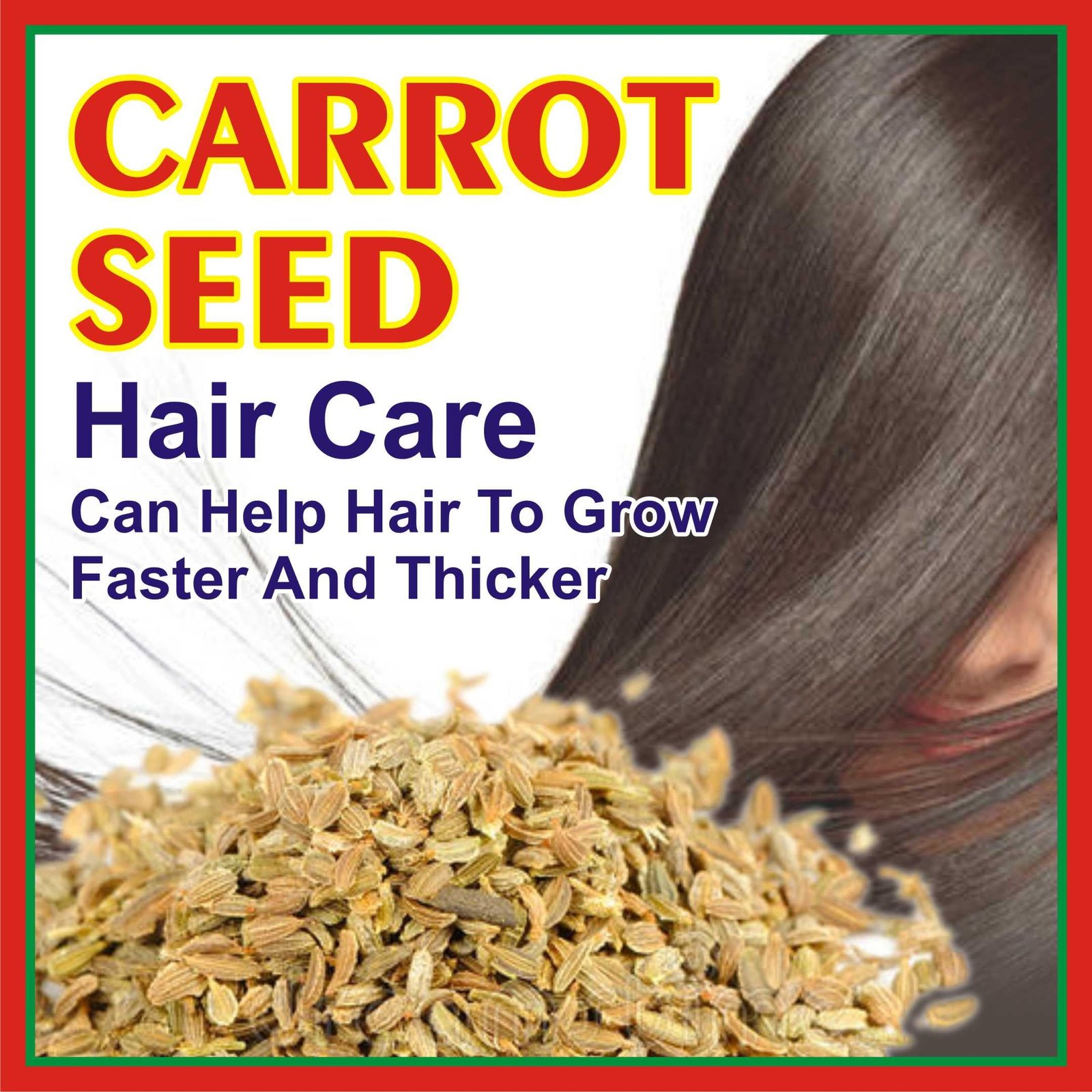 J Organics Edible Carrot Seed | गाजर के बीज | Gajar K Beej For Home Planting Gardening Eating (1)