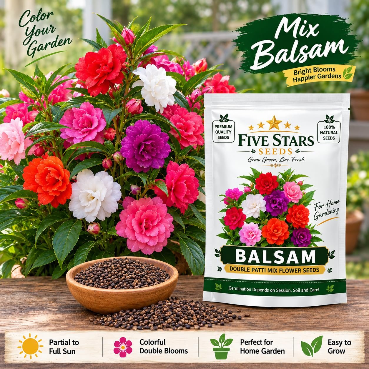 Double Balsam Flower Seeds Pack of 50+ Seeds, Mixed Colors, Upright Tower Blooms, Indoor and Outdoor Garden - Image 2