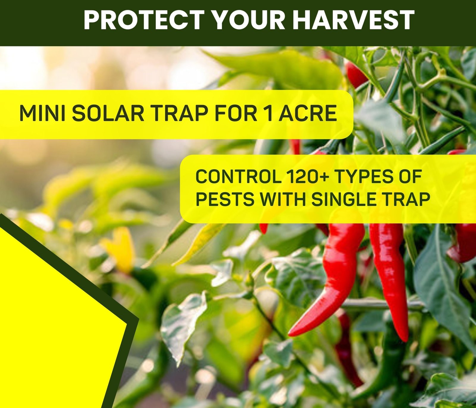 Chipku Mini Solar Insect Trap for Agriculture with UV Light| Solar Light Trap for Agriculture Insects Pests Captures 120 Types Insects| 6 Months Warranty| Dual Work - Image 3