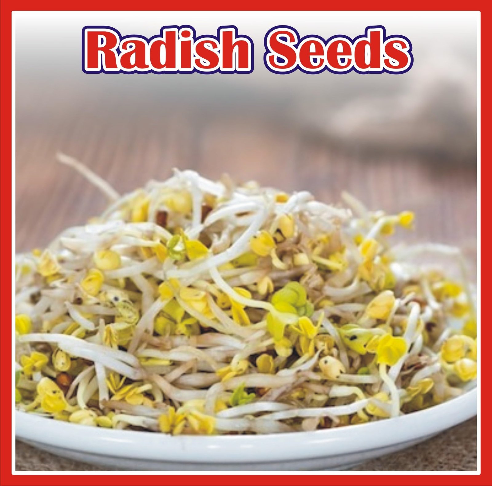 J Organics White Radish Seeds for Home Gardening | Fresh Vegetable Seeds for Growing Radishes - 100gram - Image 3