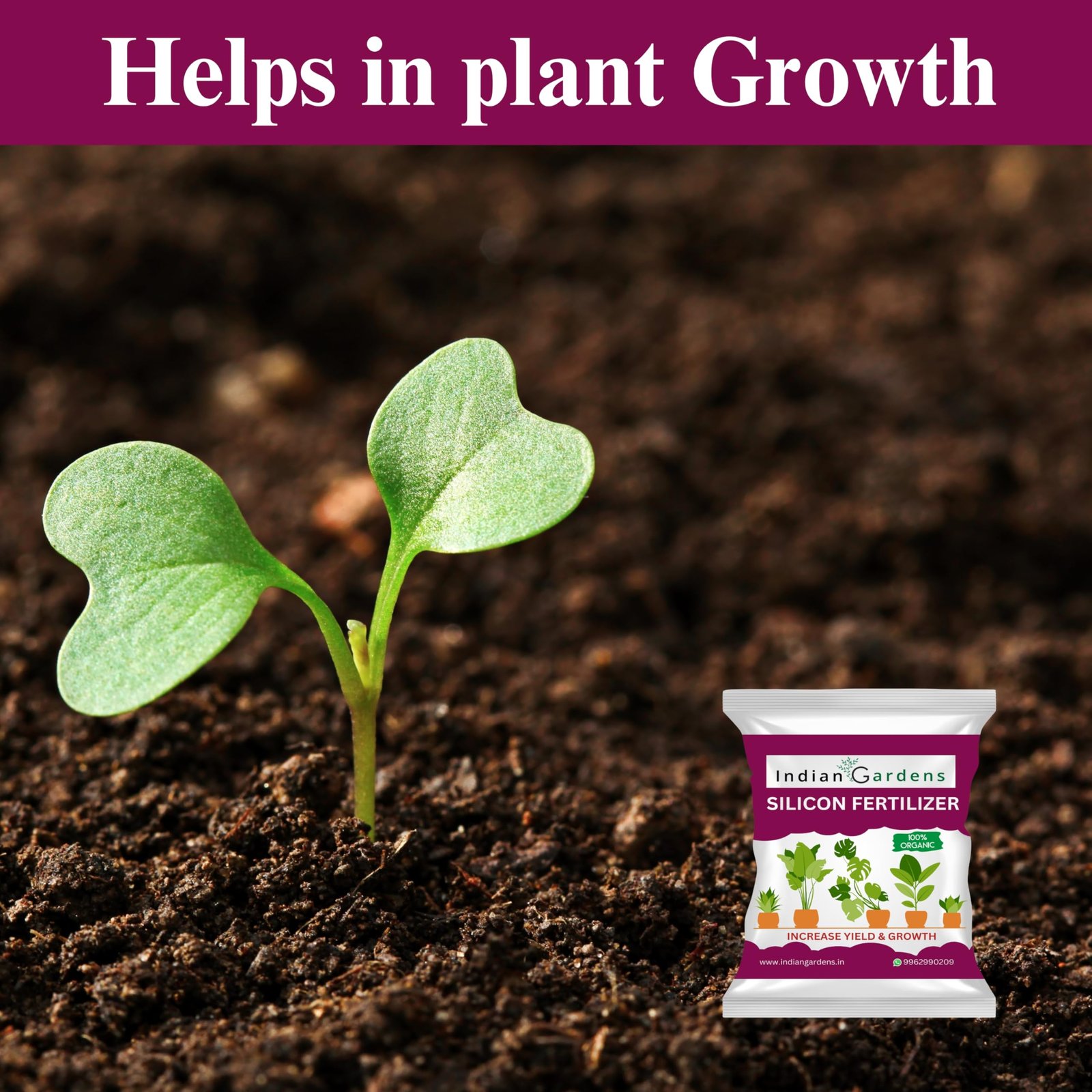 Indian Gardens - Silicon Fertilizer for Plants | Plant Nutrient and Plant Food | Gardening (400 Grams) - Image 4