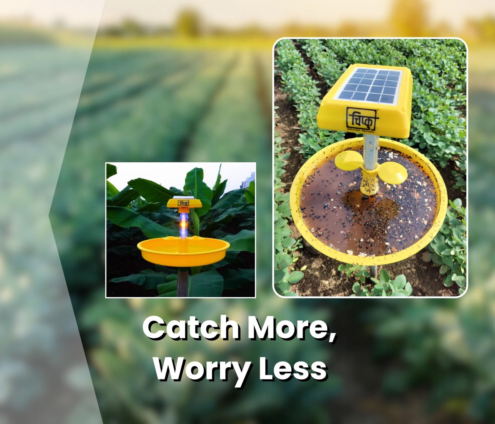 Chipku Mini Solar Insect Trap for Agriculture with UV Light| Solar Light Trap for Agriculture Insects Pests Captures 120 Types Insects| 6 Months Warranty| Dual Work - Image 4