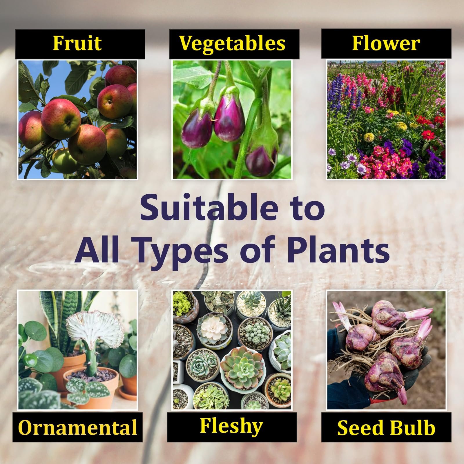 Garden Genie Plant Boost Liquid Biofertilizer for Speed Growth (3 x 50ml) - Image 5