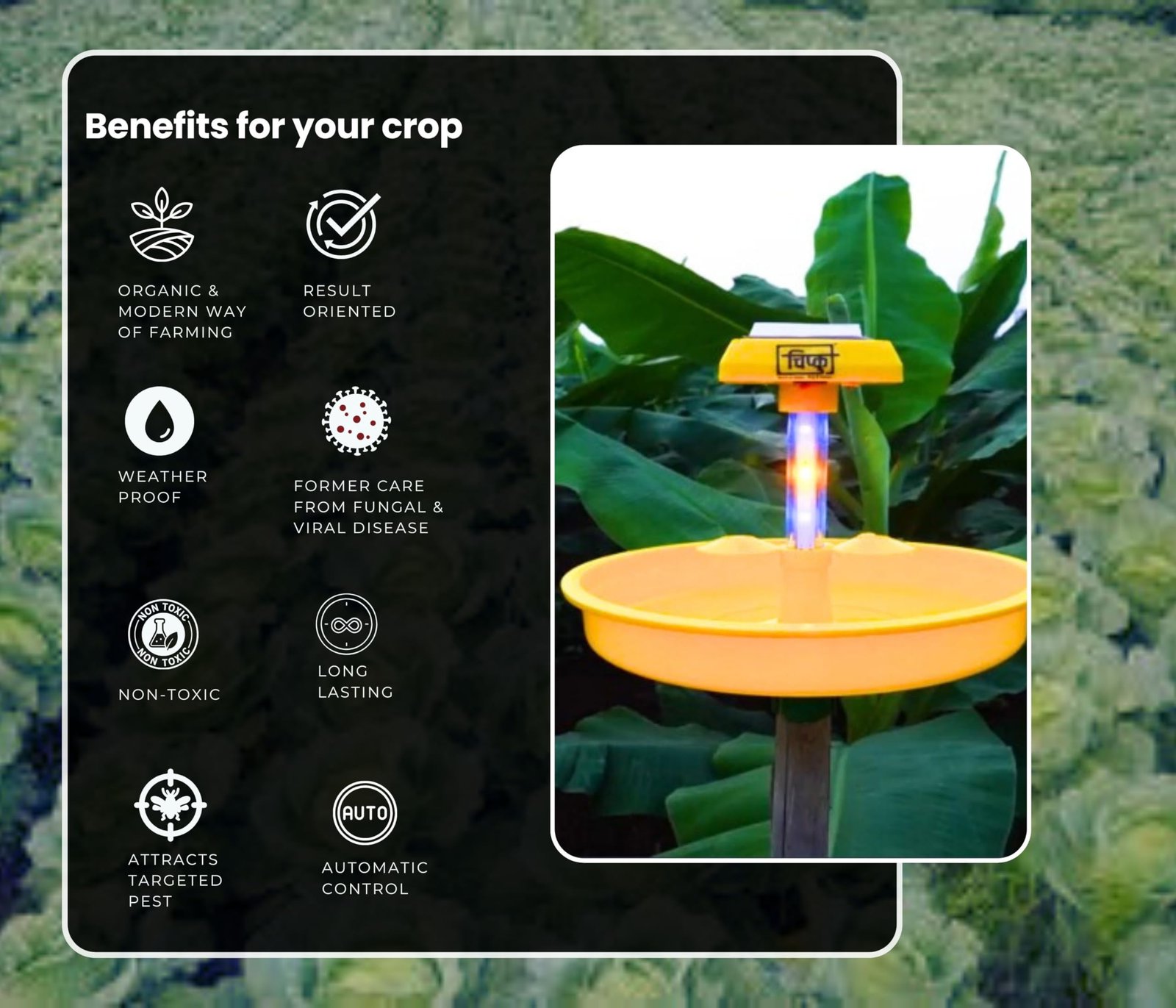 Chipku Mini Solar Insect Trap for Agriculture with UV Light| Solar Light Trap for Agriculture Insects Pests Captures 120 Types Insects| 6 Months Warranty| Dual Work - Image 5