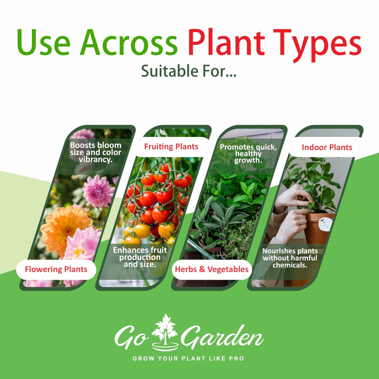 Go Garden Growth Boost Liquid Fertilizer: Enhance Plant Growth and Flowering | Home Garden Growth Booster for All Types of Plants | Liquid Fertilizer for Indoor and Outdoor Gardens 250 ML - Image 5