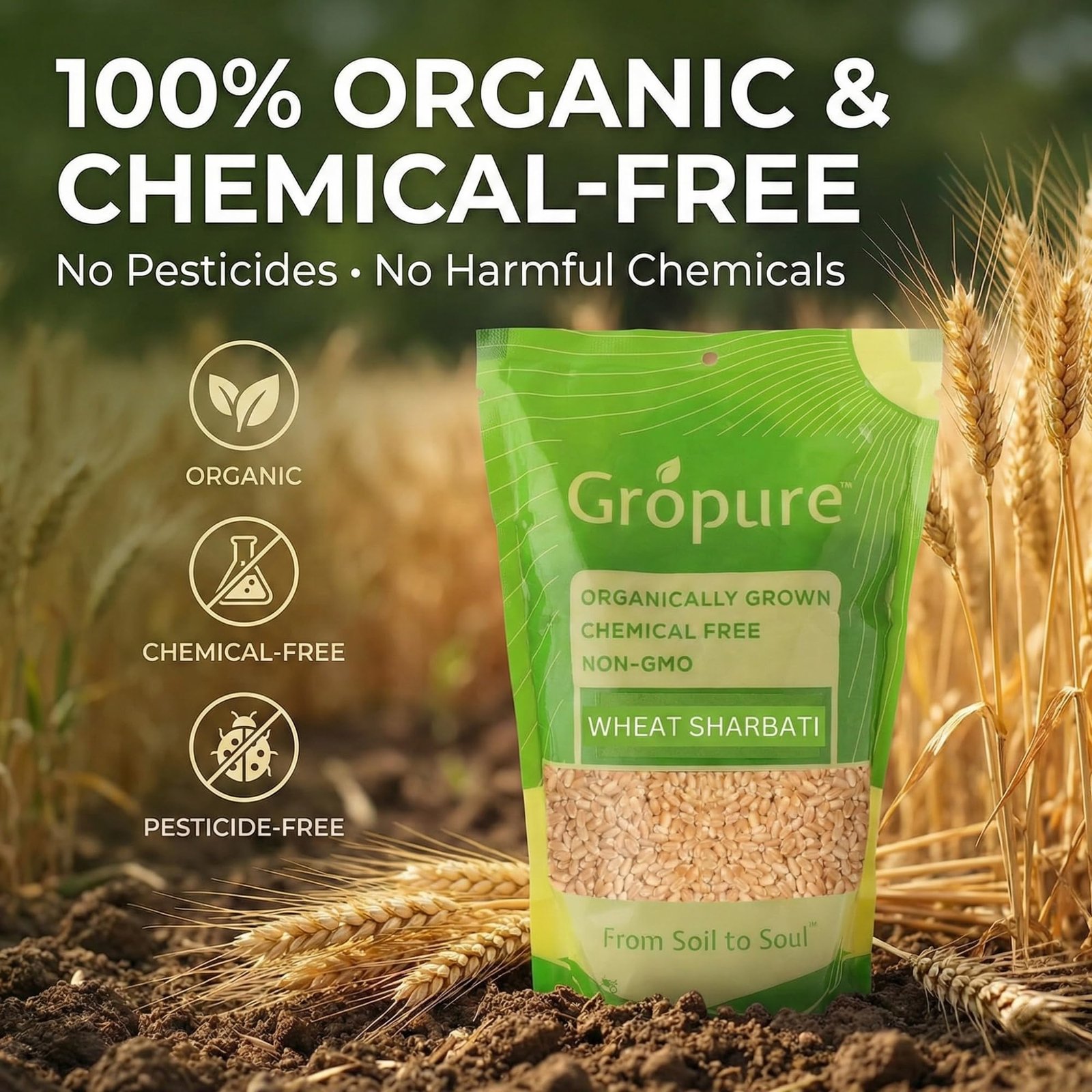 GroPure Organic | Sharbati Wheat 5Kg | MP Sharbati Wheat Whole Grain | Organic Wheat | Chemical Free Gehu Whole | Own Farm Wheat for Soft Chapati Roti & Atta - Image 4