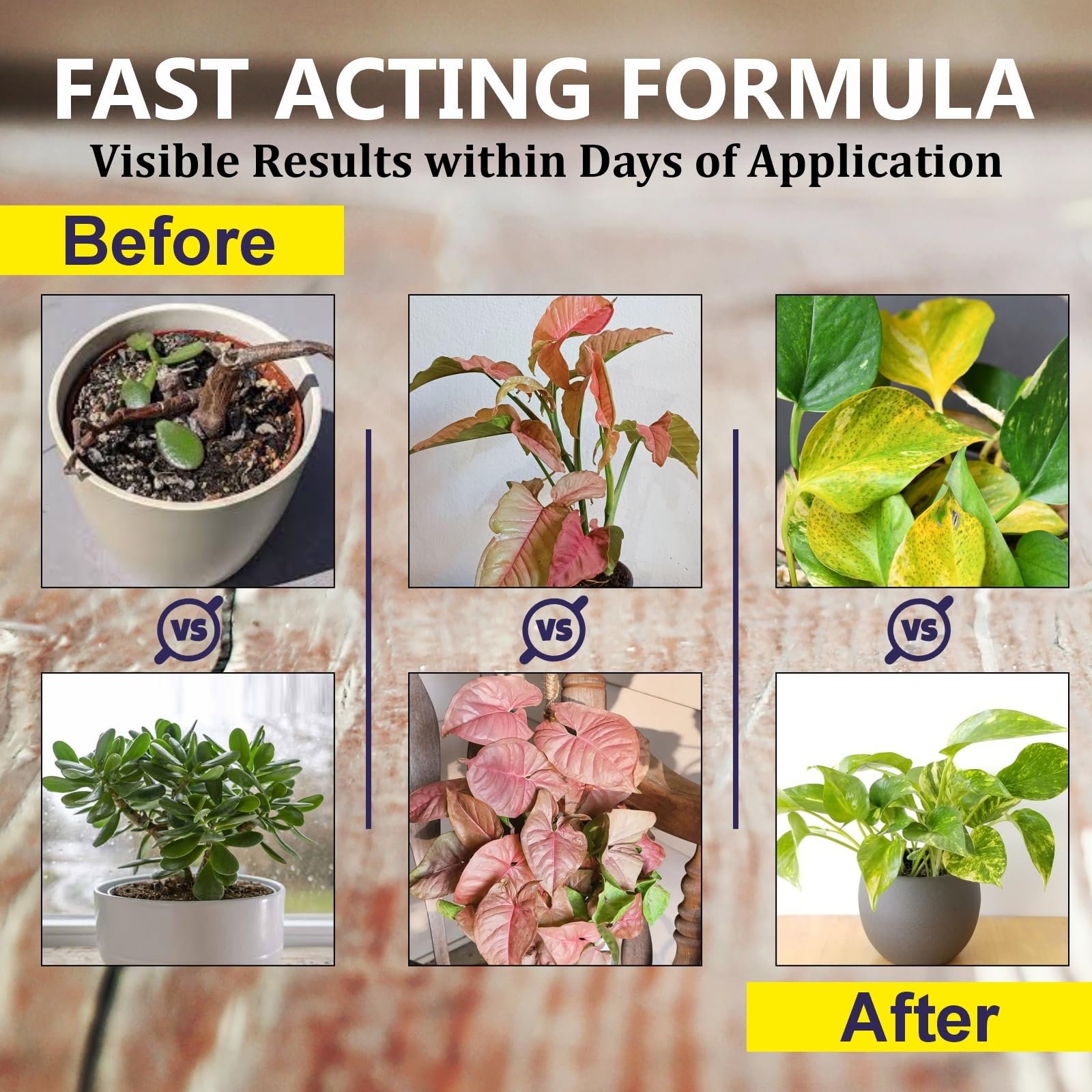 Garden Genie Plant Boost Liquid Biofertilizer for Speed Growth (3 x 50ml) - Image 6