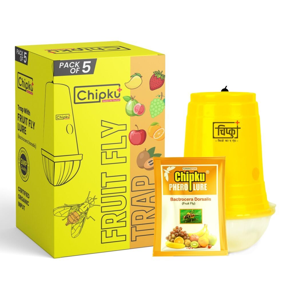 Shop Primary Image