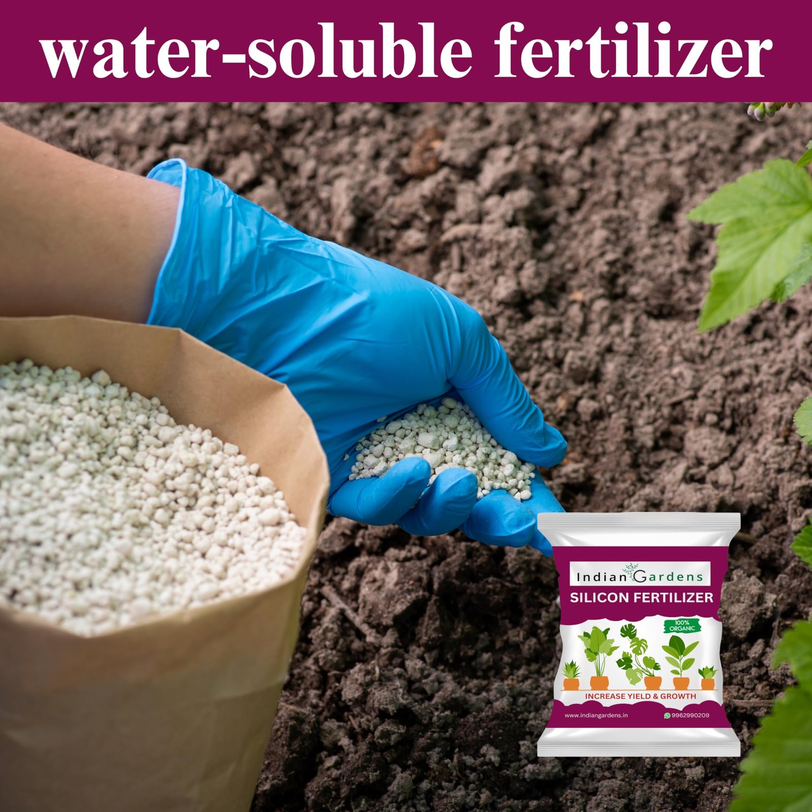 Indian Gardens - Silicon Fertilizer for Plants | Plant Nutrient and Plant Food | Gardening (400 Grams) - Image 6