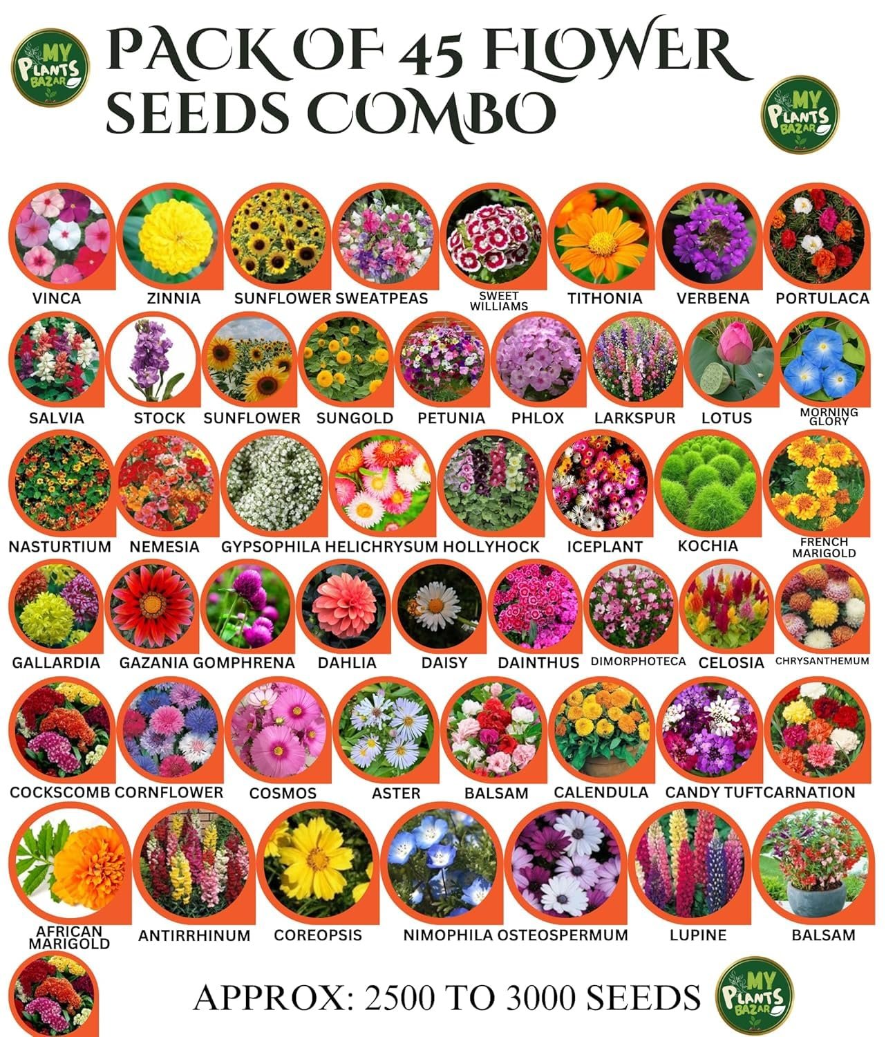 All Season Flower Seeds Combo Pack for Home Garden – 45 Varieties, 2700+ Seeds for Balcony, Terrace & Outdoor Gardening | High Germination Mixed Flower Seeds Kit for All Seasons - Image 2