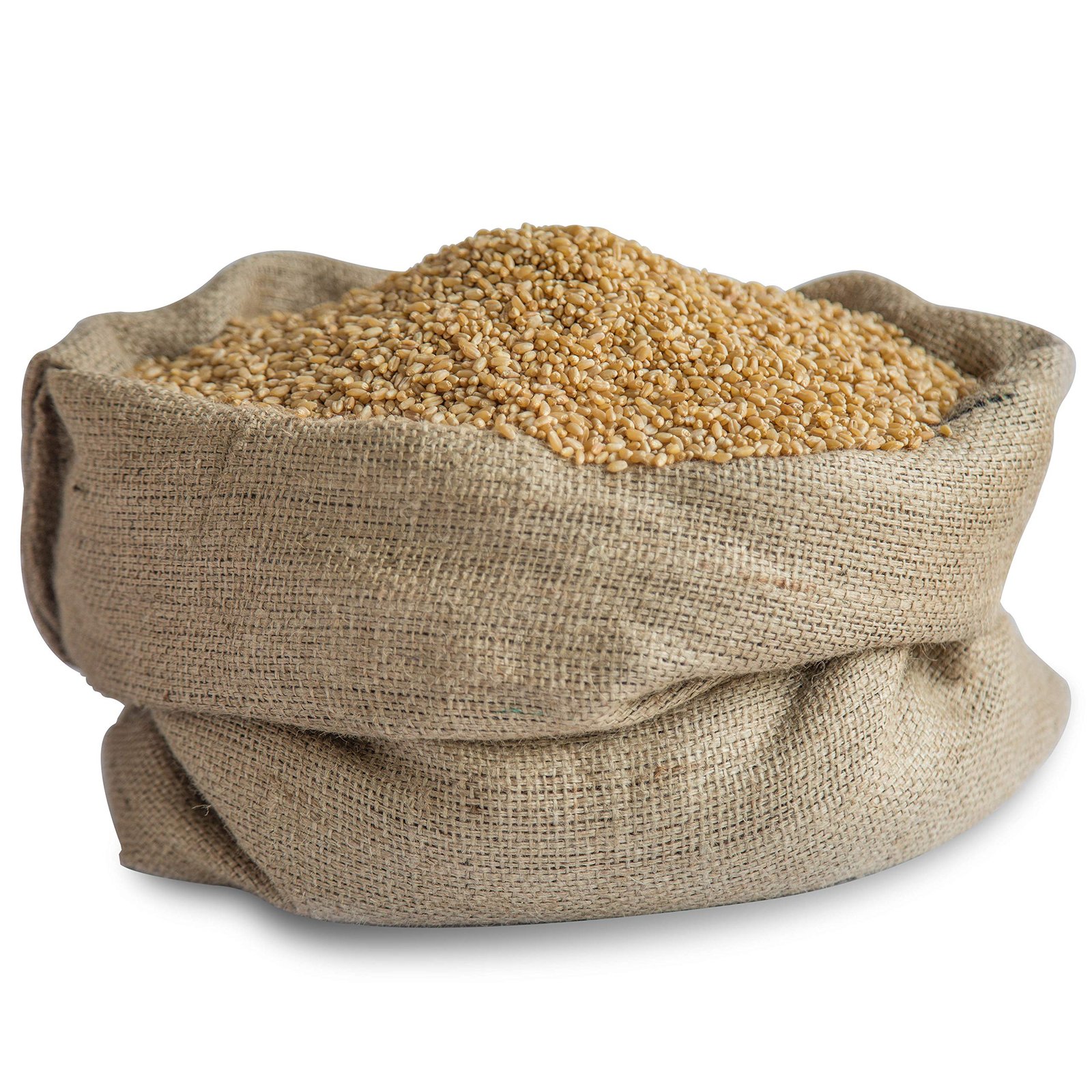 GroPure Organic | Sharbati Wheat 5Kg | MP Sharbati Wheat Whole Grain | Organic Wheat | Chemical Free Gehu Whole | Own Farm Wheat for Soft Chapati Roti & Atta - Image 8