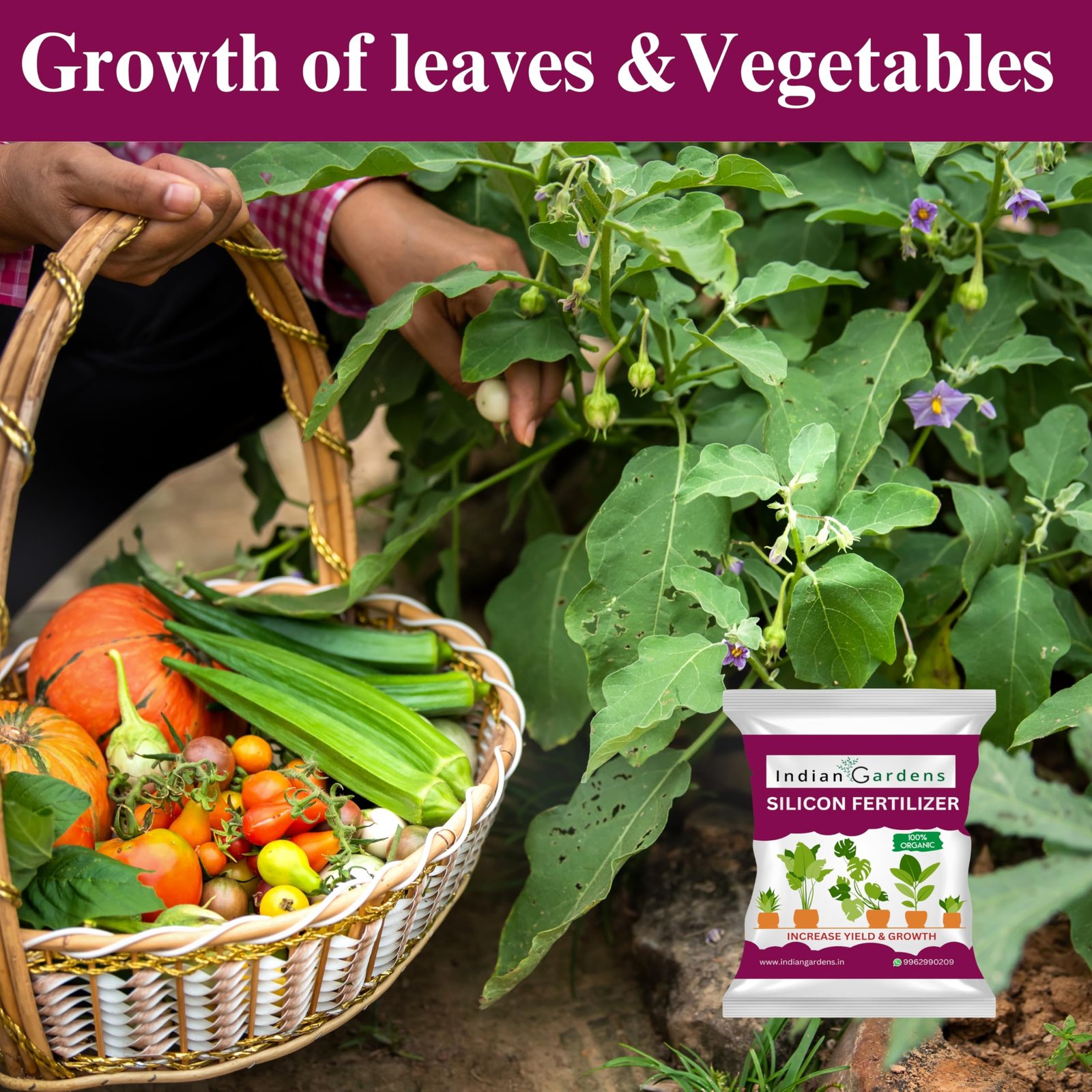 Indian Gardens - Silicon Fertilizer for Plants | Plant Nutrient and Plant Food | Gardening (400 Grams) - Image 5
