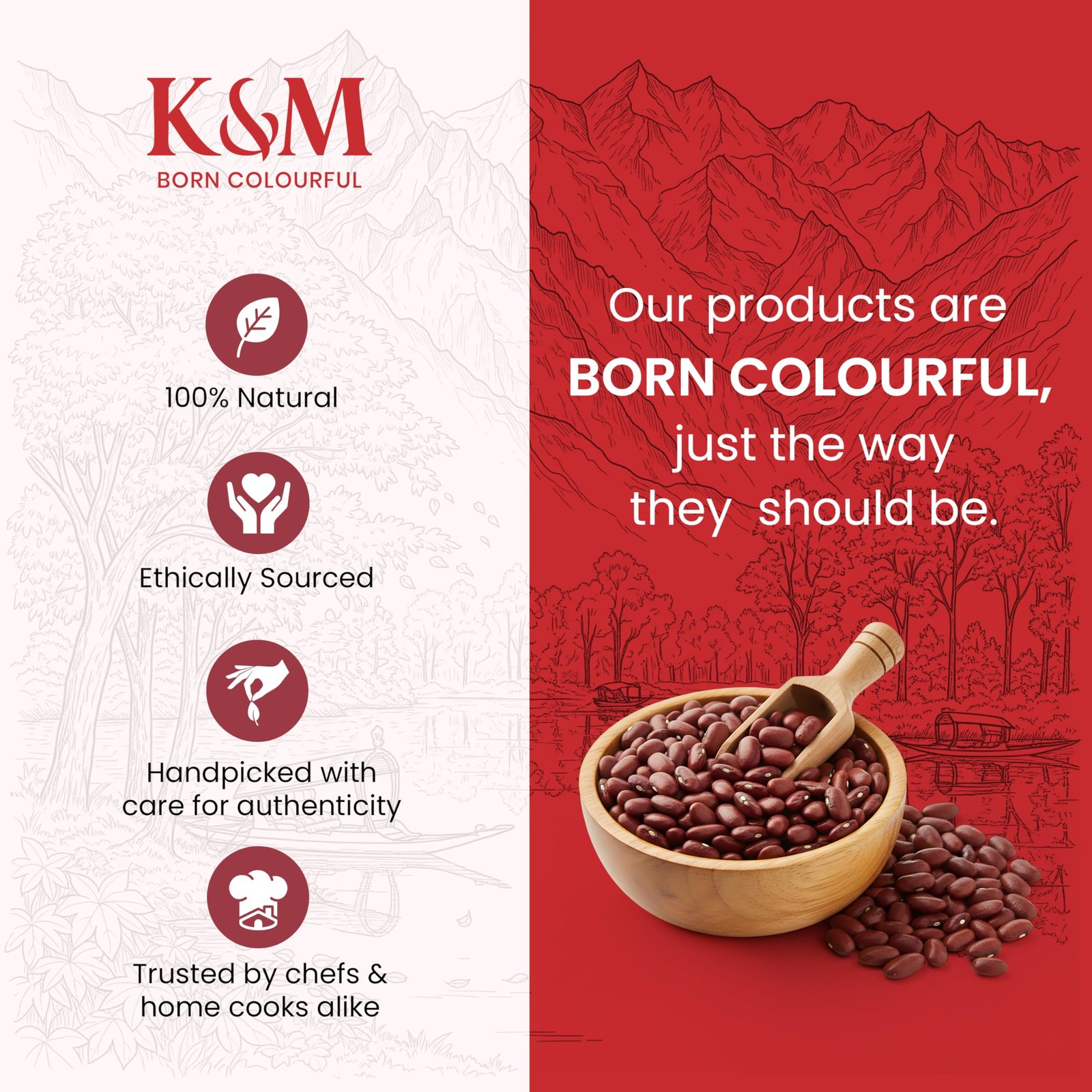 Kanz & Muhul Organic Bhaderwah Jammu Rajma 950 Gm, Creamy & Smooth Texture, Hand-Picked Red Kidney Beans Red Kidney Bean Dry | Healthy & Wholesome Food, Organic Pulses | Rich in Fiber, High Protein, No Preservatives | 950gm - Image 2