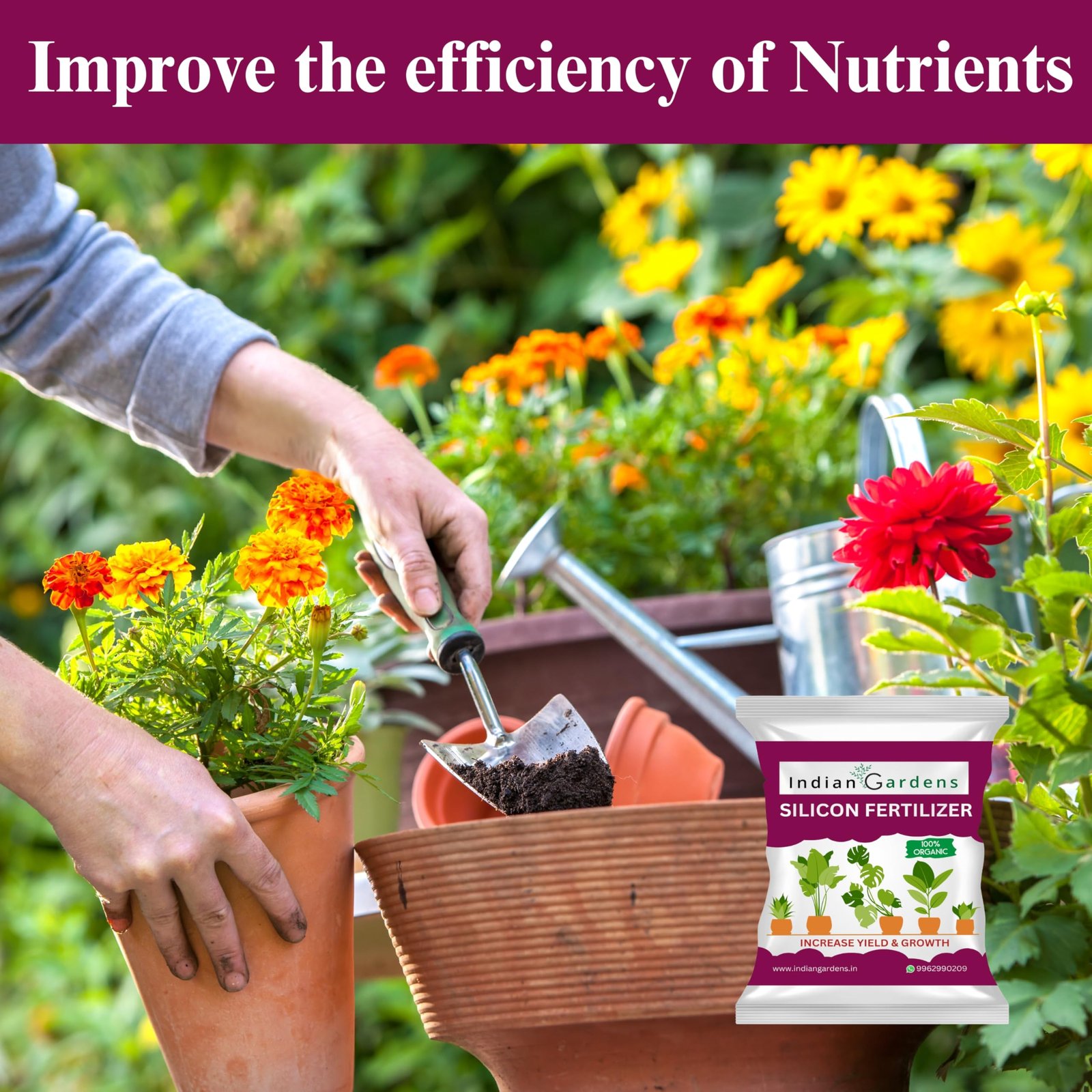 Indian Gardens - Silicon Fertilizer for Plants | Plant Nutrient and Plant Food | Gardening (400 Grams) - Image 3